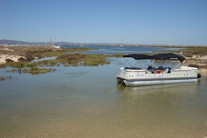 Von Olhão aus: Ria Formosa & Culatra Insel 3,5-Stunden-Bootsfahrt