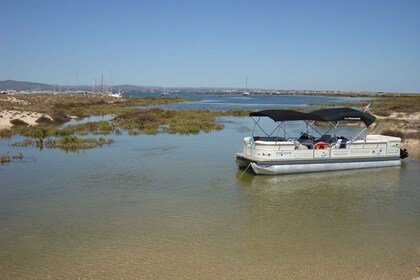 Von Olhão aus: Ria Formosa & Culatra Insel 3,5-Stunden-Bootsfahrt