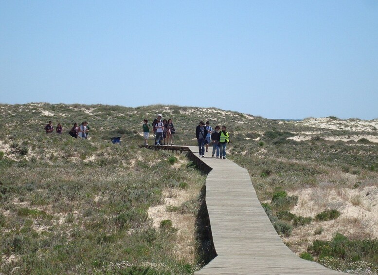 Picture 2 for Activity From Olhão: Ria Formosa & Culatra Island 3.5-Hour Boat Trip