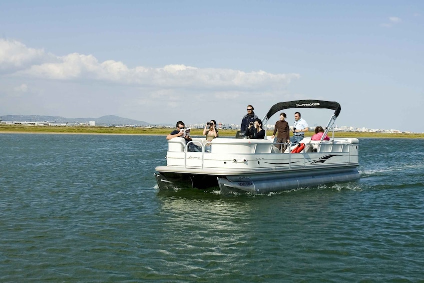 Picture 5 for Activity From Olhão: Ria Formosa & Culatra Island 3.5-Hour Boat Trip