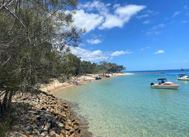 Picture 9 for Activity From Brisbane: North Stradbroke Island Wildlife Adventure