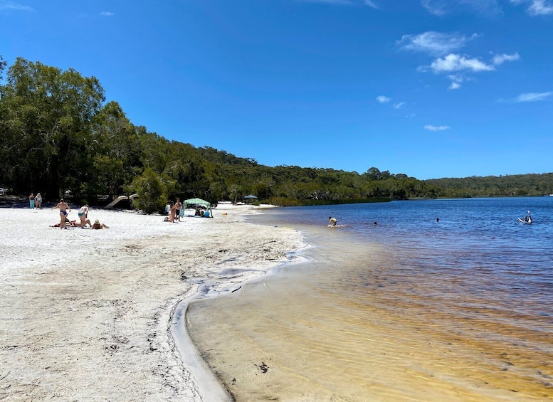 Picture 4 for Activity From Brisbane: North Stradbroke Island Wildlife Adventure