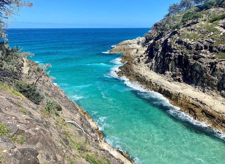 Picture 1 for Activity From Brisbane: North Stradbroke Island Wildlife Adventure