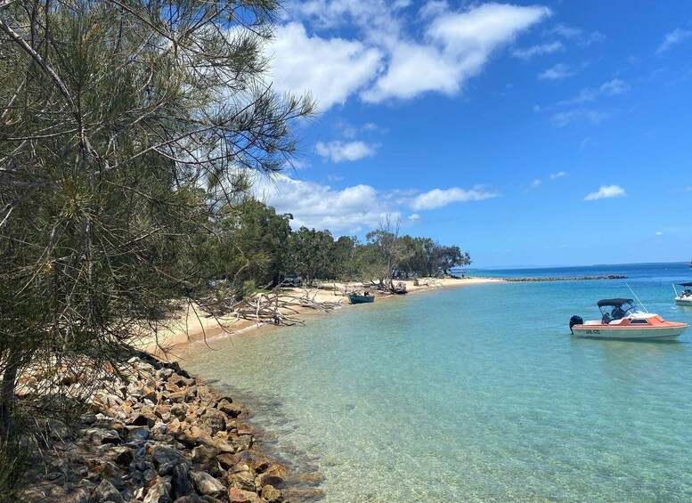 Picture 9 for Activity From Brisbane: North Stradbroke Island Day Trip with Sunset