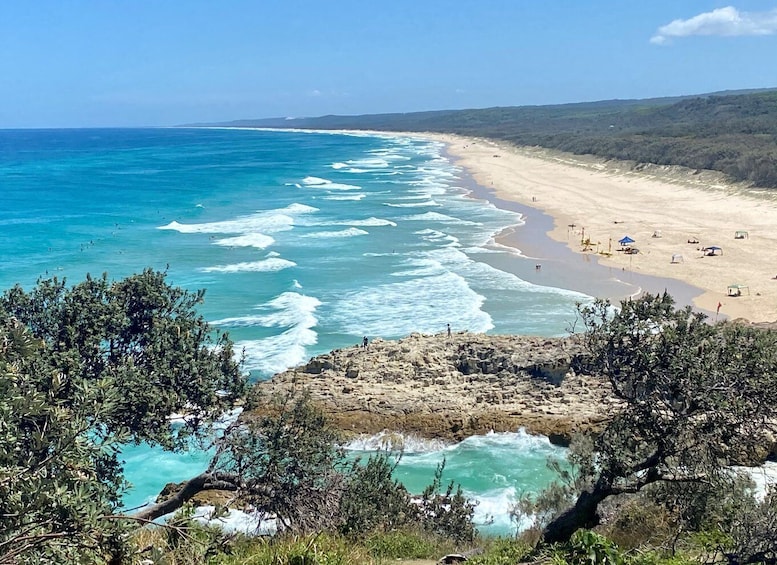 Picture 3 for Activity From Brisbane: North Stradbroke Island Wildlife Adventure