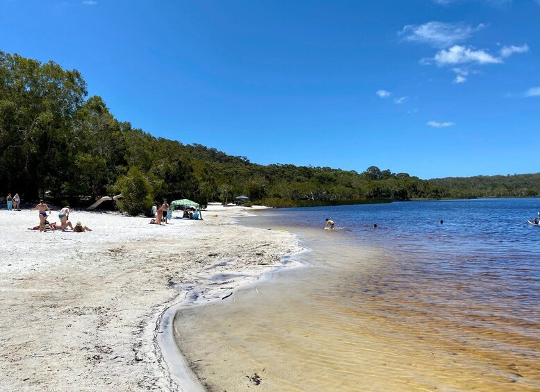 Picture 4 for Activity From Brisbane: North Stradbroke Island Day Trip with Sunset