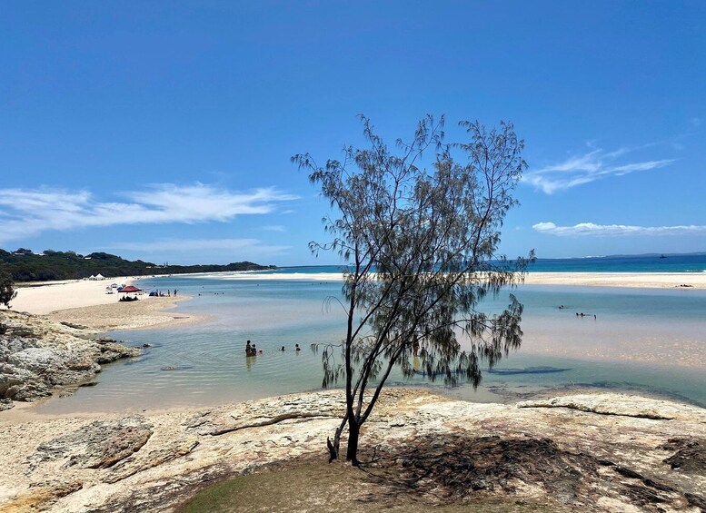 Picture 2 for Activity From Brisbane: North Stradbroke Island Wildlife Adventure