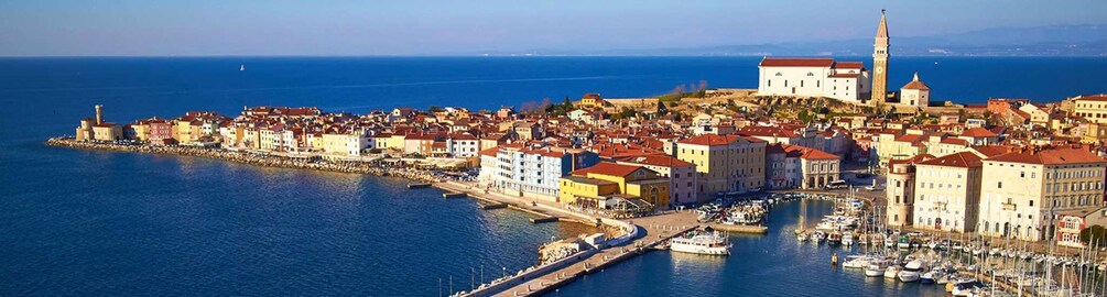 Picture 4 for Activity Piran: Bike Rental with Map, Helmet, Water bottle and Lock