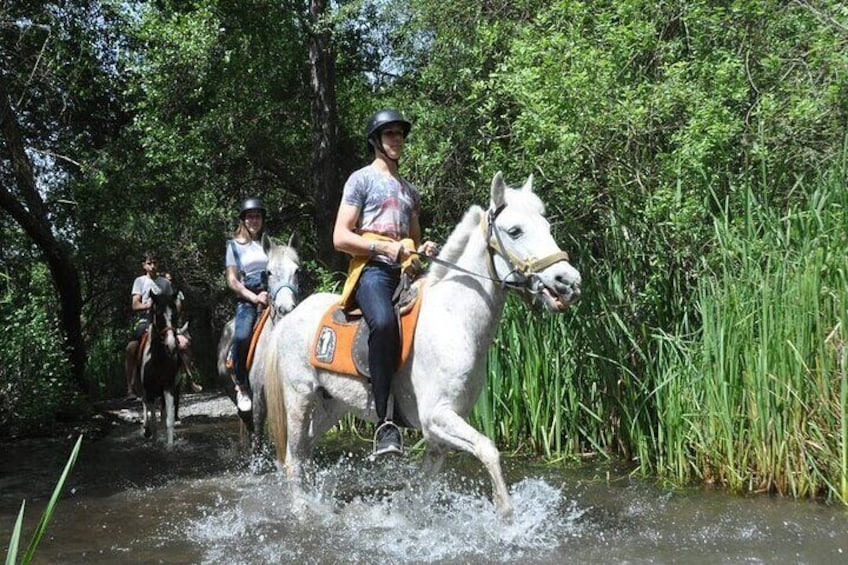 Kemer Horse Safari Experience With Free Hotel Transfer