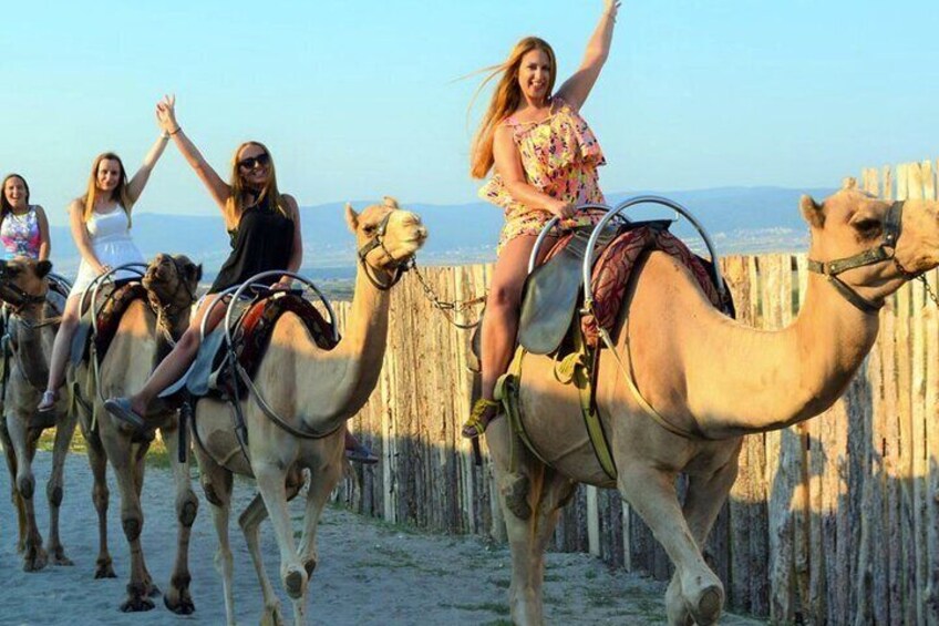Fethiye Camel Riding Everyday 