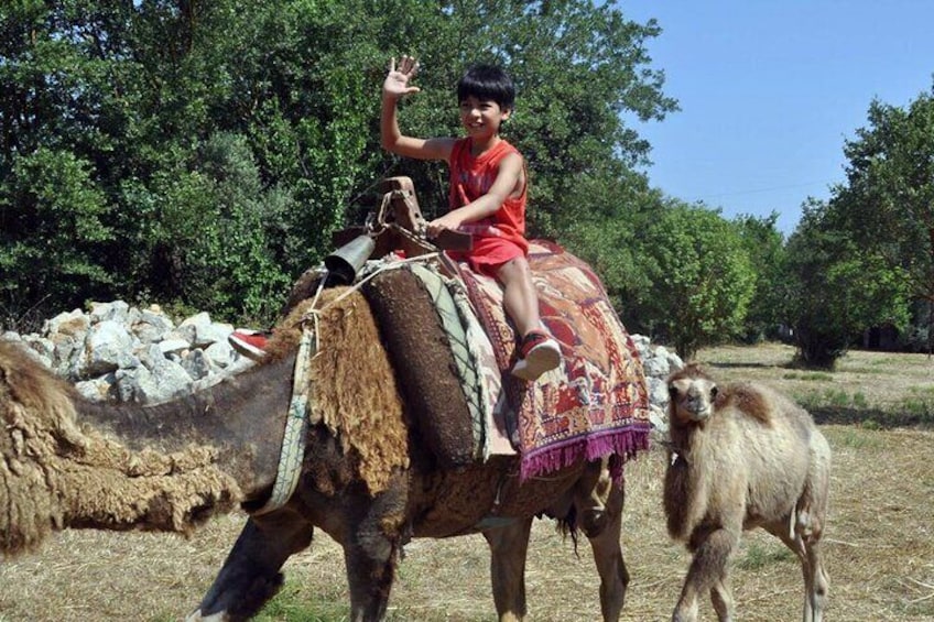 Fethiye Camel Riding Everyday