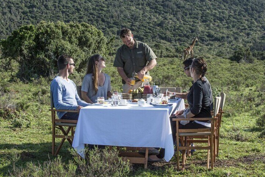 6 Day Big 7 Luxury Honeymoon Safari at Kariega: Settlers Drift