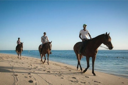 Horse Riding Experience and Le Morne Slave Route Tour, Mauritius