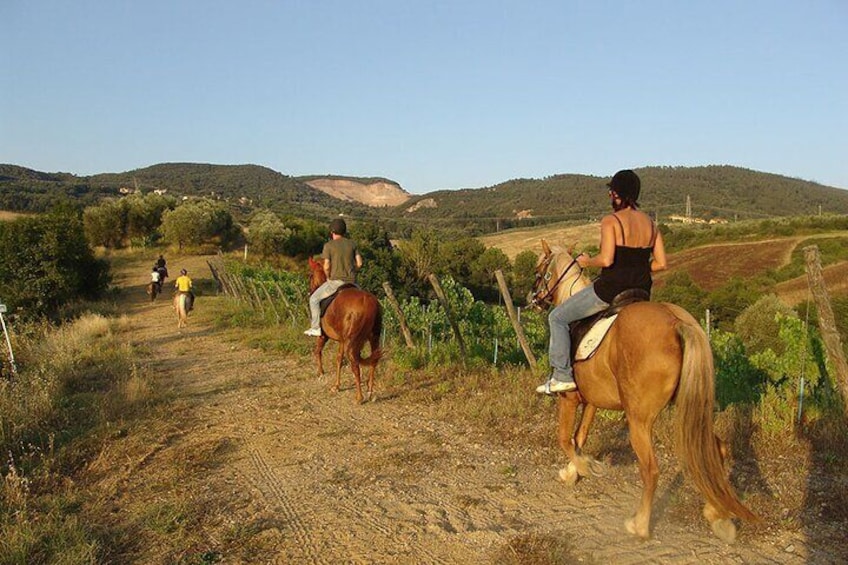 Bodrum Horse Riding Experience