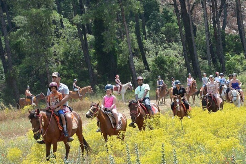 Bodrum Horse Riding Experience