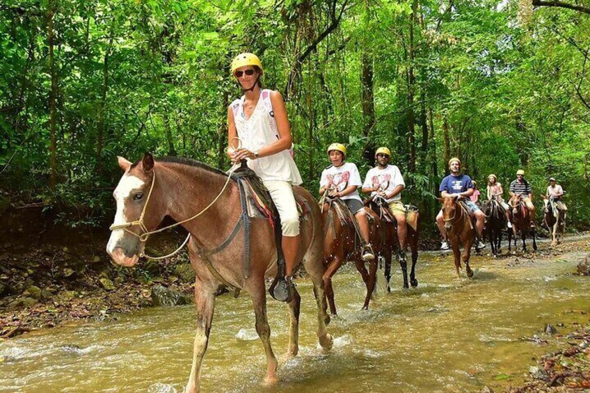 Bodrum Horse Riding Experience