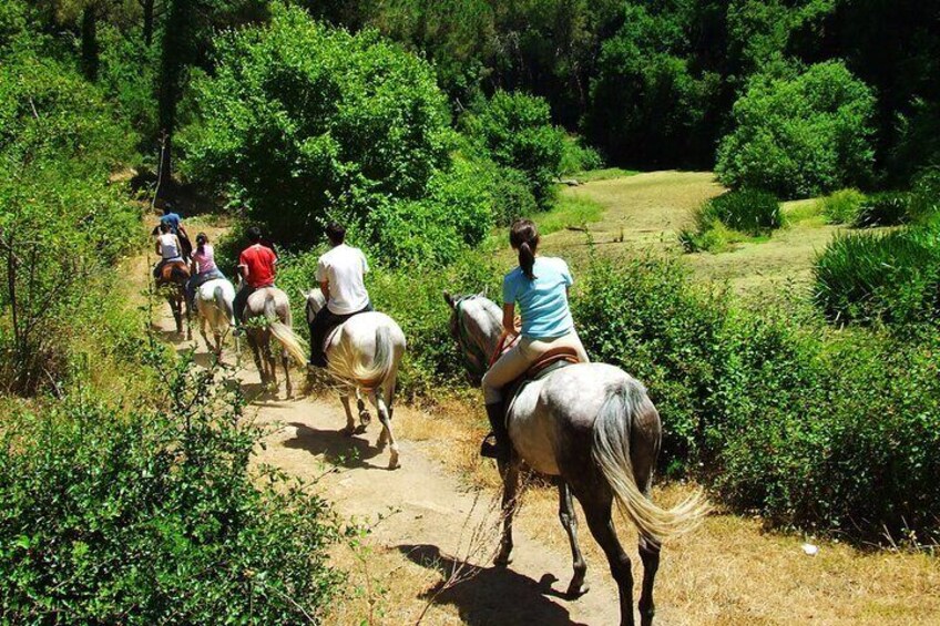 Bodrum Horse Riding Experience