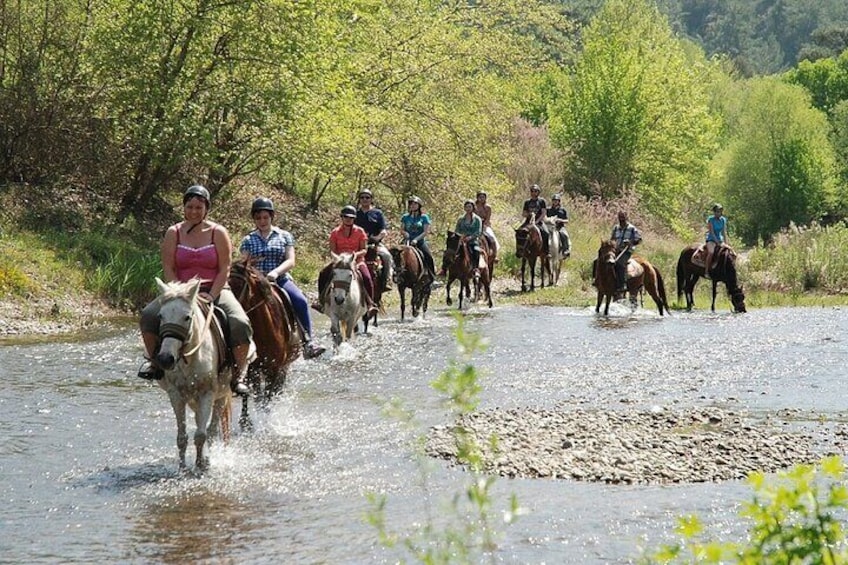 Bodrum Horse Riding Experience