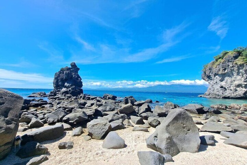 Full Day Apo Island Tour from Dumaguete 