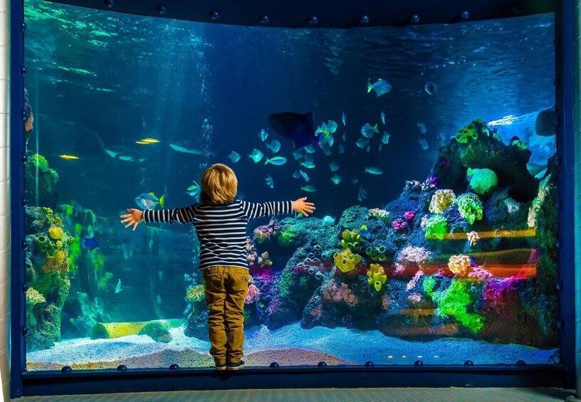 SEA LIFE Berlin Tickets