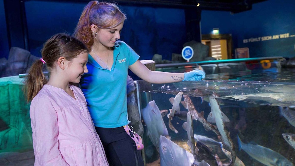 Picture 3 for Activity SEA LIFE Berlin Tickets