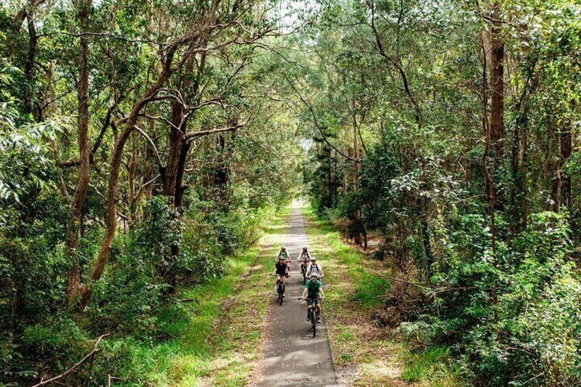 Cruise effortlessly through nature on an E Bike