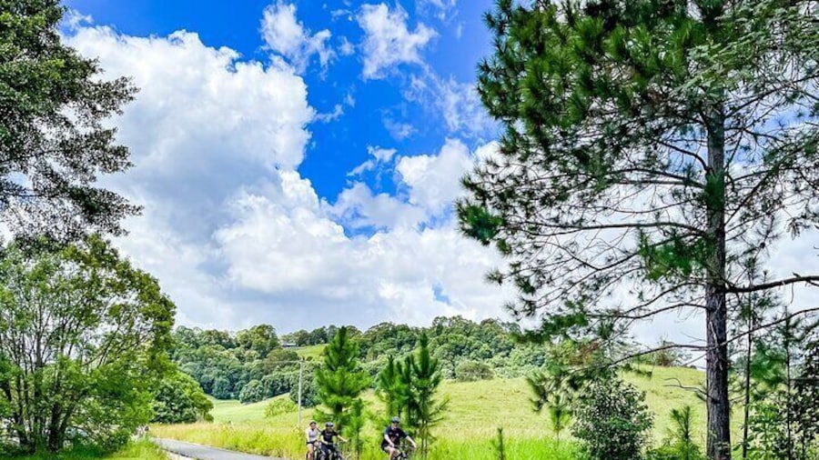 E bike riders at Stokers Siding on the Northern Rivers Rail Trail
