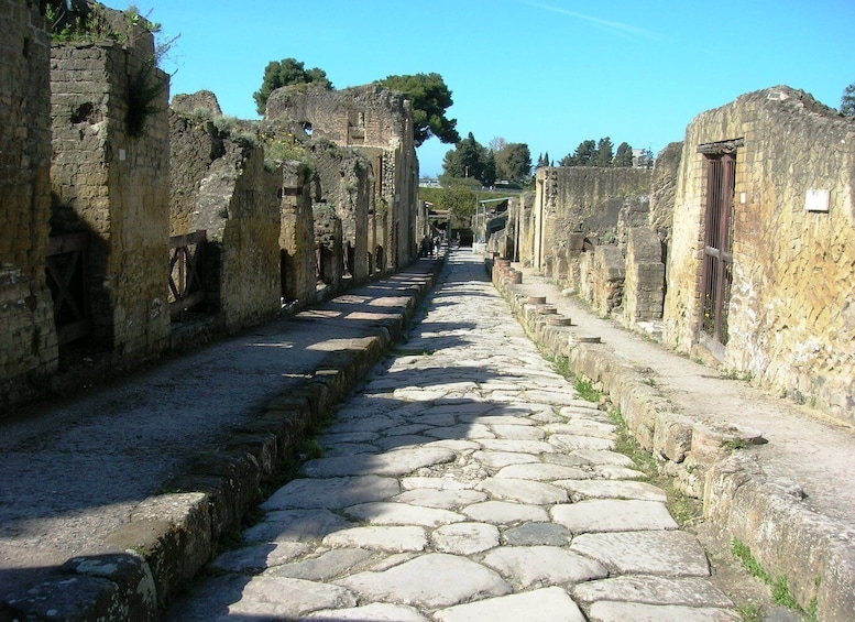 Picture 5 for Activity Herculaneum and Mount Vesuvius Private Tour