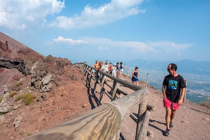 Privat rundtur i Herculaneum och Vesuvius