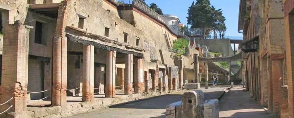 Picture 6 for Activity Herculaneum and Mount Vesuvius Private Tour