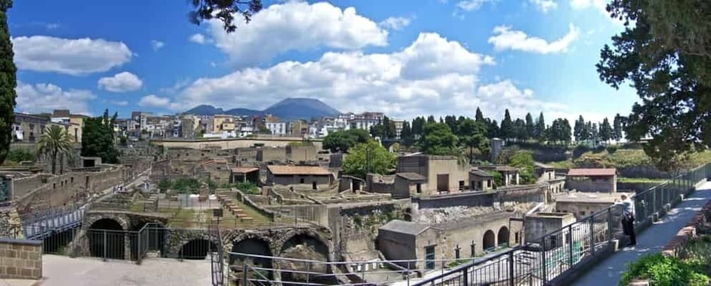 Picture 2 for Activity Herculaneum and Mount Vesuvius Private Tour