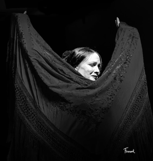 Flamenco Dinner Live Show