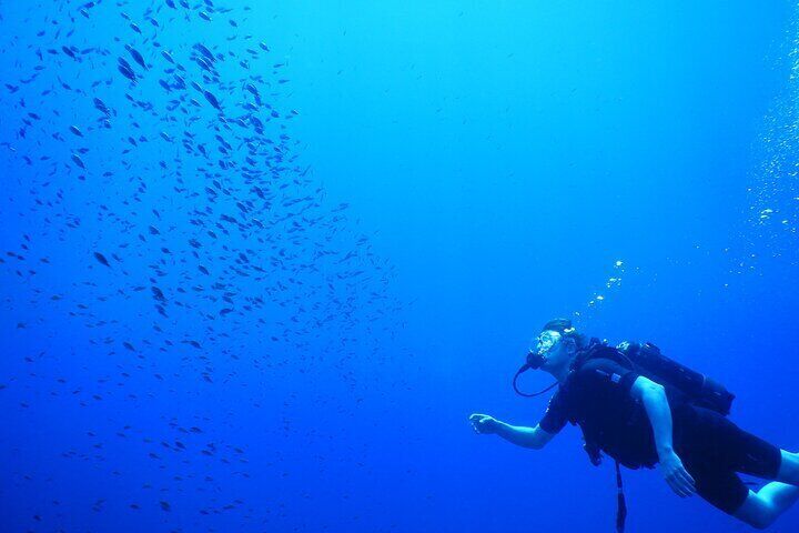 Achieve your PADI OPEN WATER DIVER certification.