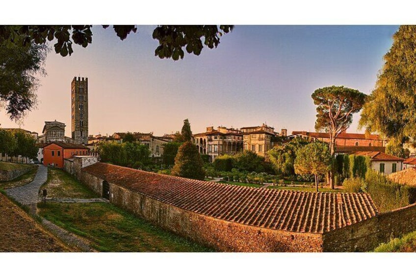 Private Pisa and Lucca Tour from Florence with Transportation