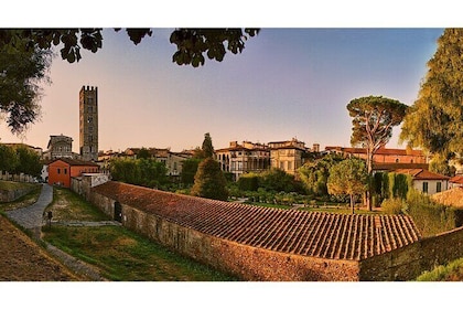 Private Pisa and Lucca Tour from Florence with Transport