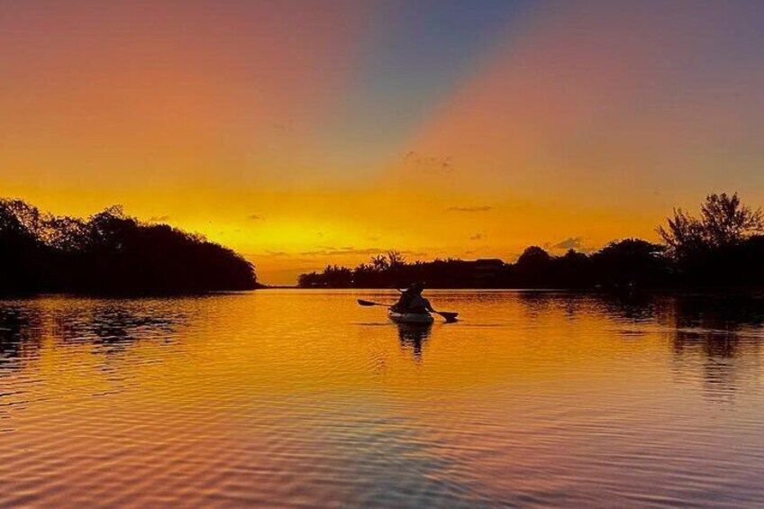 Mauritius Guided Sunrise Kayak Tour on the Tamarin River