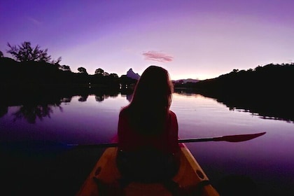 Mauritius Guided Sunrise Kayak Tour on the Tamarin River