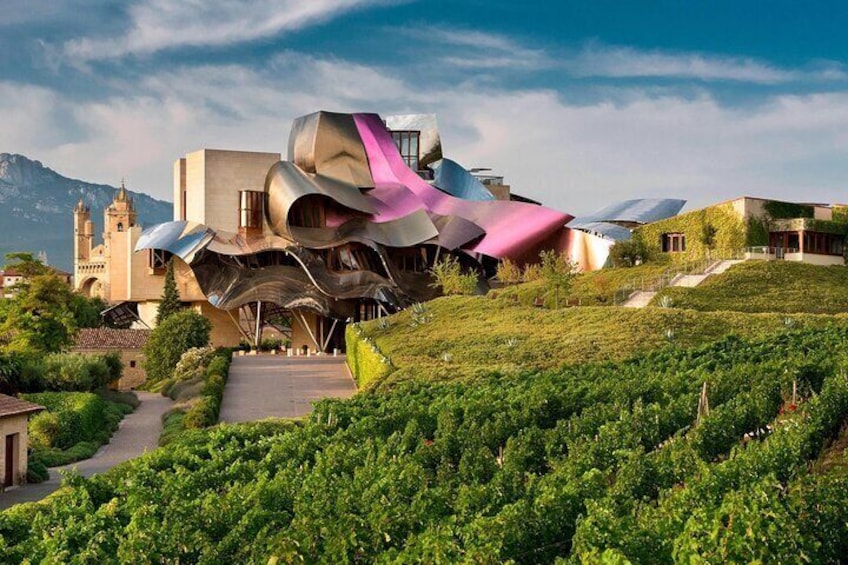 Visit Marques de Riscal & Picnic in Vineyard from Bilbao