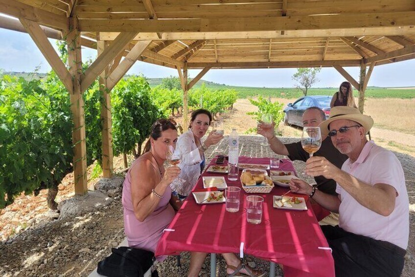 Rioja Tour of 2 Family Wineries & Picnic in Vineyard from Bilbao