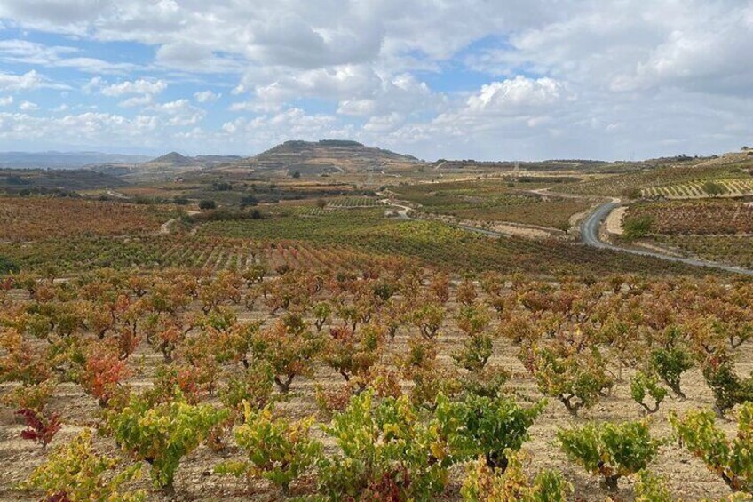 Rioja Tour of 2 Family Wineries & Picnic in Vineyard from Bilbao
