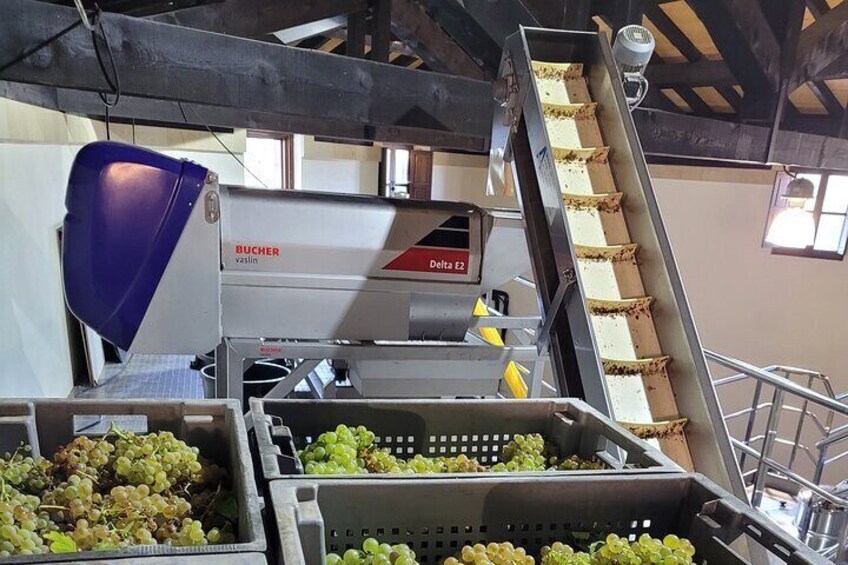 Rioja Tour of 2 Family Wineries & Picnic in Vineyard from Bilbao