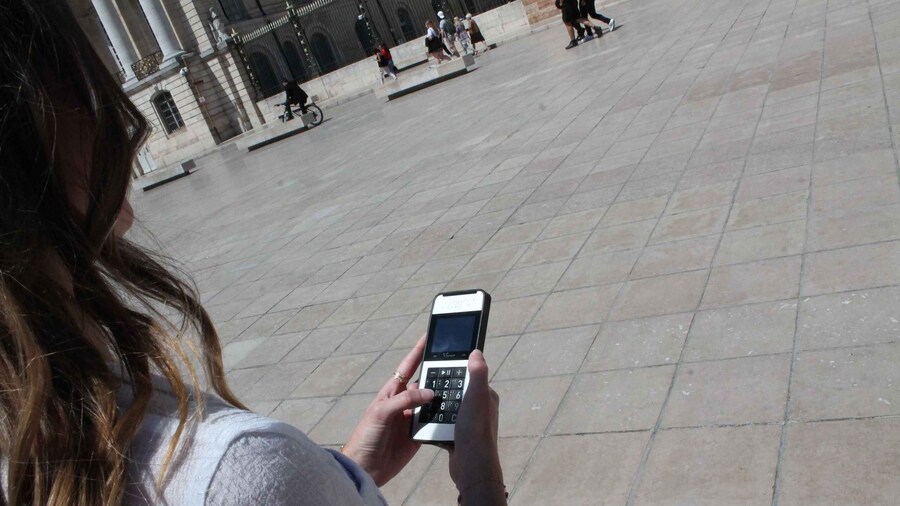 Dijon : City Walking Tour with Audio Guide