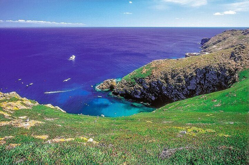 Private Full Day Tour to Berlengas Island from Lisbon