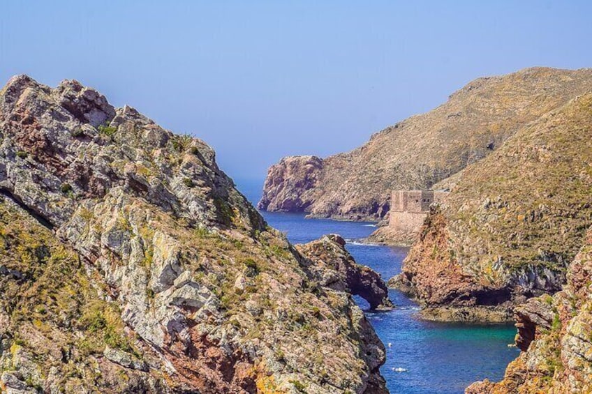 Private Full Day Tour to Berlengas Island from Lisbon
