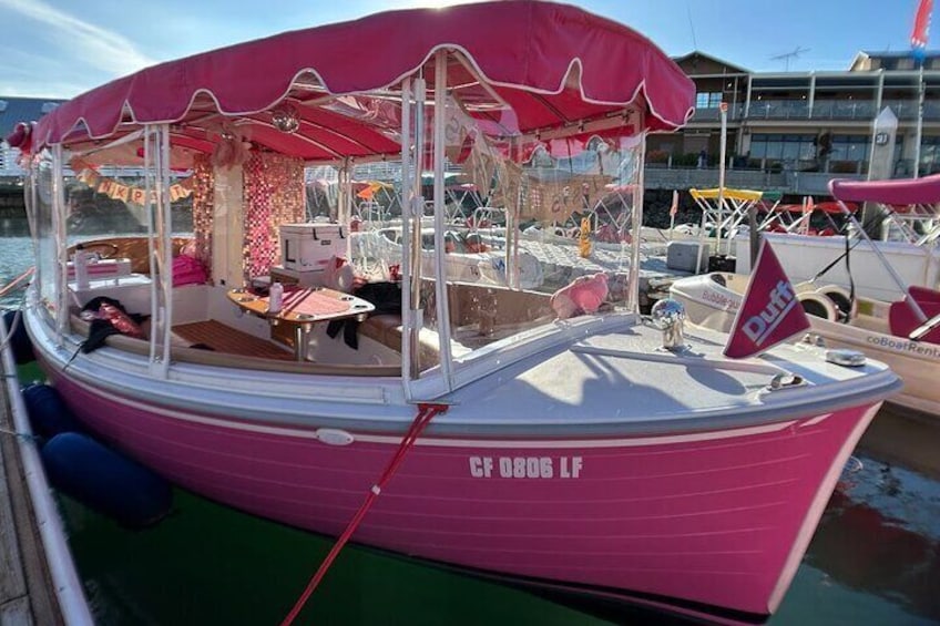 Electric Duffy Boat captained charters in San Diego area. New Pink Boats tour great choice for families with kids and couple