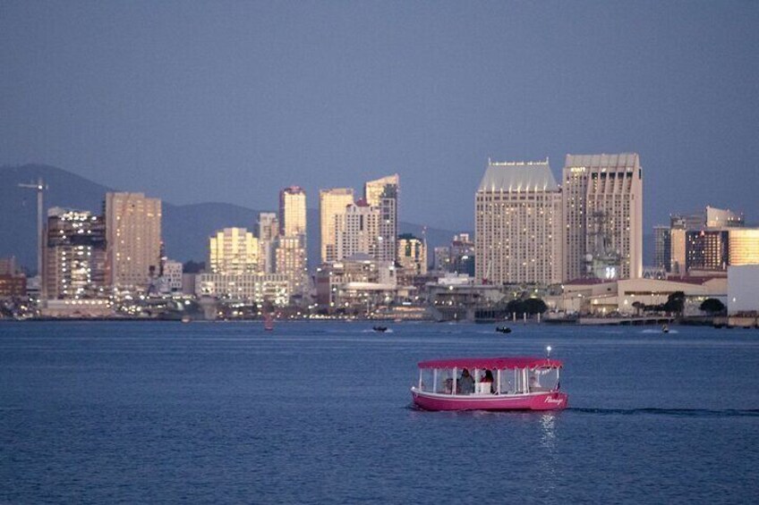 Electric Duffy Boat captained charters in San Diego area. New Pink Boats tour great choice for families with kids and couple