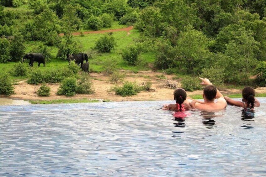 3 Days Zaina Luxury Experience Mole Safari