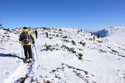 Depuis Sofia : Randonnée en raquettes sur le mont Vitosha