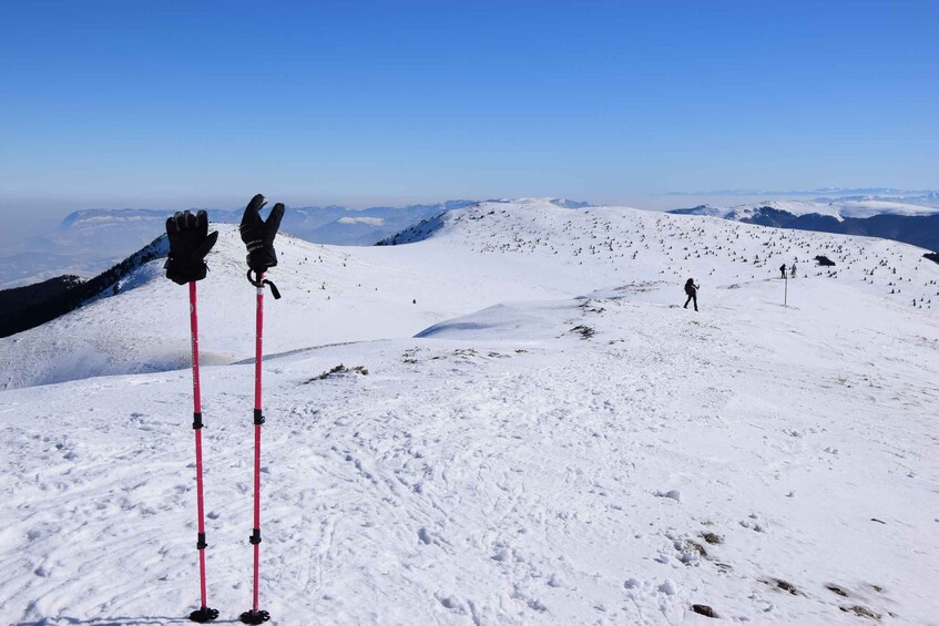 Picture 5 for Activity From Sofia: Snowshoe Hike on Vitosha Mountain