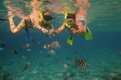 Snorkeling alle Isole Cataline